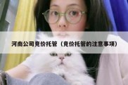 河南公司竞价托管（竞价托管的注意事项）