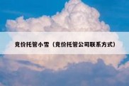 竞价托管小雪（竞价托管公司联系方式）