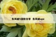 东风破5涨粉分享  东风破ape