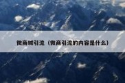 微商城引流（微商引流的内容是什么）