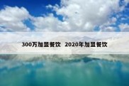 300万加盟餐饮  2020年加盟餐饮