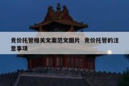 竞价托管相关文案范文图片  竞价托管的注意事项