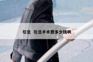 引流  引流手术费多少钱啊