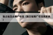独立站怎么推广引流（独立站推广引流预算表）
