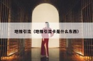 地推引流（地推引流卡是什么东西）