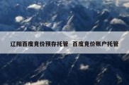 辽阳百度竞价预存托管  百度竞价账户托管