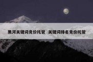黑河关键词竞价托管  关键词排名竞价托管