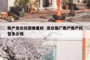 账户竞价托管哪里好  竞价推广账户账户托管多少钱
