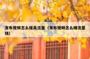 发布视频怎么提高流量（发布视频怎么赚流量钱）