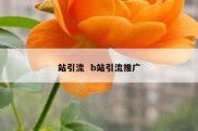 站引流  b站引流推广