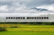 沧州竞价运营托管  最好的竞价托管费用
