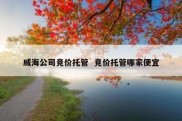 威海公司竞价托管  竞价托管哪家便宜