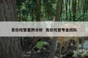 竞价托管案例分析  竞价托管专业团队