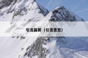 引流最新（引流意思）