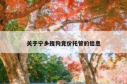 关于宁乡搜狗竞价托管的信息