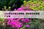 sem竞价托管公司网销  好的竞价托管推广公司