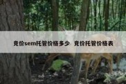 竞价sem托管价格多少  竞价托管价格表