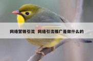 网络营销引流  网络引流推广是做什么的