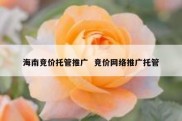 海南竞价托管推广  竞价网络推广托管