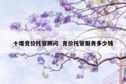 十堰竞价托管顾问  竞价托管服务多少钱