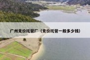 广州竞价托管厂（竞价托管一般多少钱）