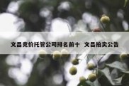 文昌竞价托管公司排名前十  文昌拍卖公告