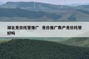 湖北竞价托管推广  竞价推广账户竞价托管好吗