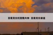 百度竞价托管魏大帅  百度竞价渠道