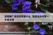 百度推广竞价托管是什么  百度竞价托管一月多少钱
