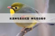 长清神马竞价托管  神马竞价助手