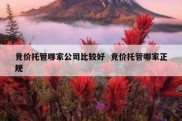 竞价托管哪家公司比较好  竞价托管哪家正规