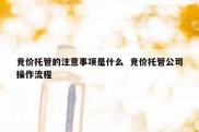竞价托管的注意事项是什么  竞价托管公司操作流程