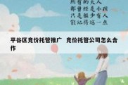 平谷区竞价托管推广  竞价托管公司怎么合作