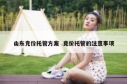 山东竞价托管方案  竞价托管的注意事项
