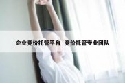 企业竞价托管平台  竞价托管专业团队