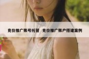 竞价推广账号托管  竞价推广账户搭建案例