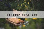 竞价竞价托管的  竞价托管什么意思
