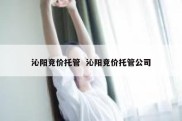 沁阳竞价托管  沁阳竞价托管公司