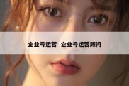企业号运营  企业号运营顾问