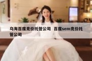 乌海百度竞价托管公司  百度sem竞价托管公司