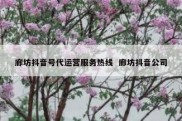 廊坊抖音号代运营服务热线  廊坊抖音公司