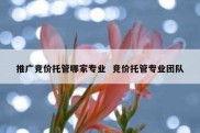 推广竞价托管哪家专业  竞价托管专业团队
