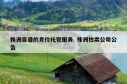株洲靠谱的竞价托管服务  株洲拍卖公司公告