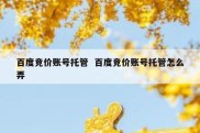 百度竞价账号托管  百度竞价账号托管怎么弄