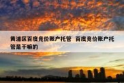 黄浦区百度竞价账户托管  百度竞价账户托管是干嘛的