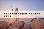 汉阳百度竞价账户托管价格  武汉百度竞价托管公司