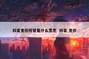 抖音竞价托管是什么意思  抖音 竞价