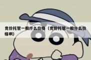 竞价托管一般什么价格（竞价托管一般什么价格啊）