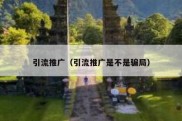 引流推广（引流推广是不是骗局）