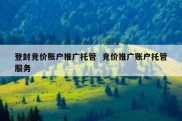 登封竞价账户推广托管  竞价推广账户托管服务